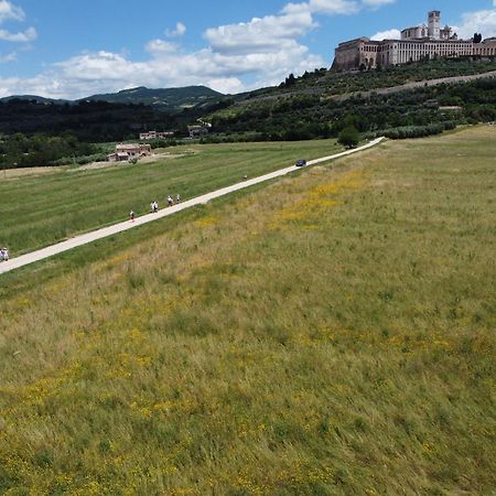 Agriturismo Molinella أسيسي المظهر الخارجي الصورة