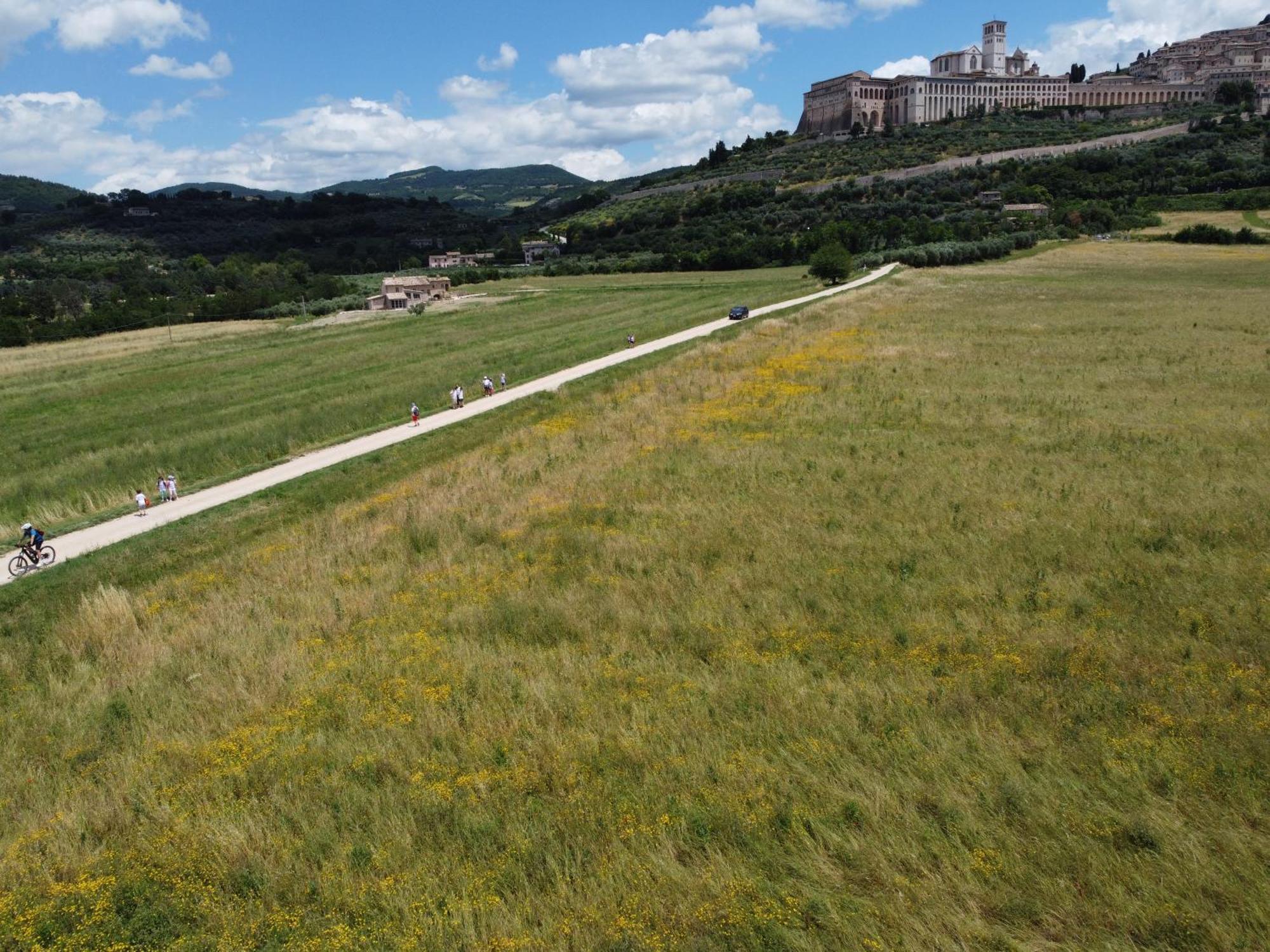 Agriturismo Molinella أسيسي المظهر الخارجي الصورة